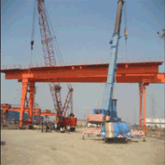 Marshelling Yard Gantry Cranes