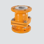 Check Valve