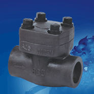 Forged Steel Check Valve