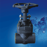 Forged Steel Gate Valve