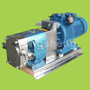 Rotary Lobe Pump