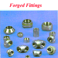 Forged Fittings