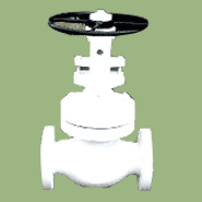 Globe Valve
