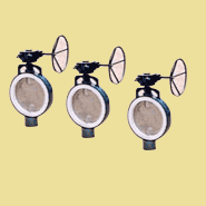 Teflon Lined Butterfly Valv