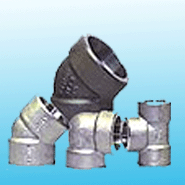 Forged Fittings