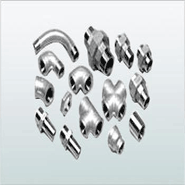 Stainless Steel Forged Fitt