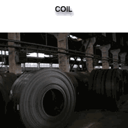 Coil