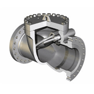 Swing Check Valve