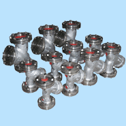 Y Strainer